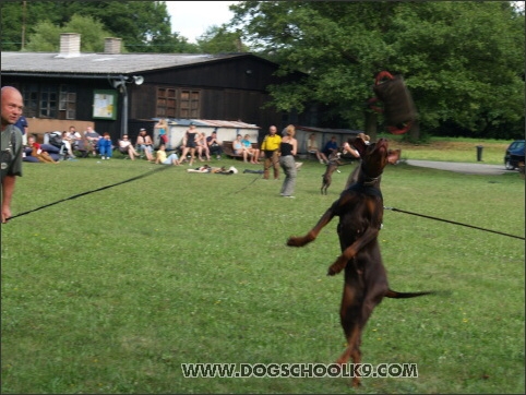 Training camp - Lukova 2007